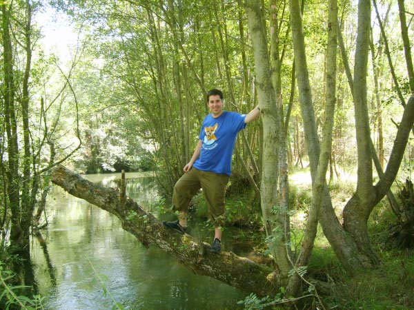 En un tronco sobre el río
