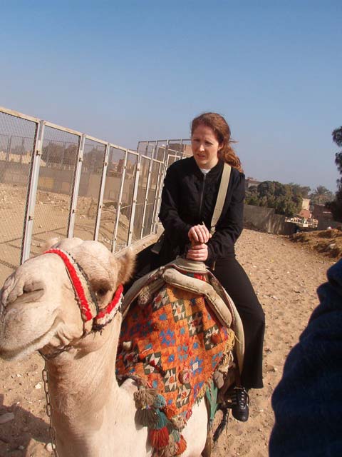 Camellos en Giza
