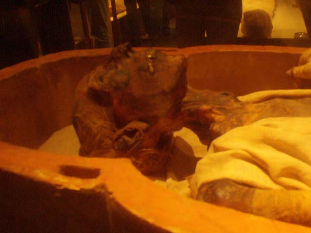 Museo Egipcio. Momia de Ramsés II
