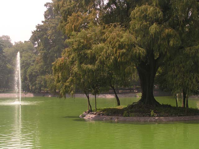 Lago en el bosque de Chapultepec