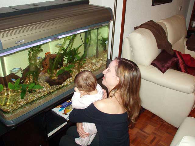 Bea y Anita mirando los peces