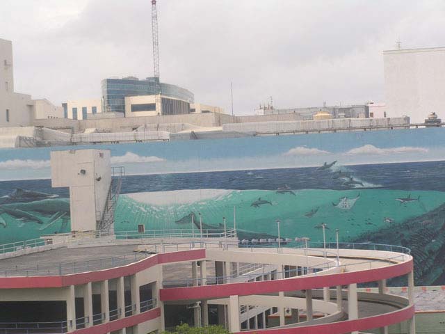 Downtown Miami, vistas desde el Metromover