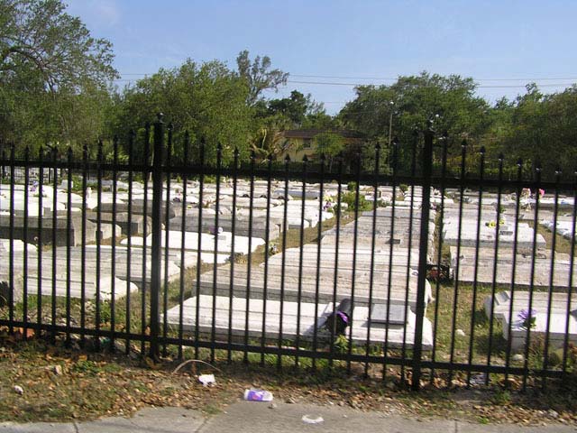Coconut grove. Cementerio de Thriller