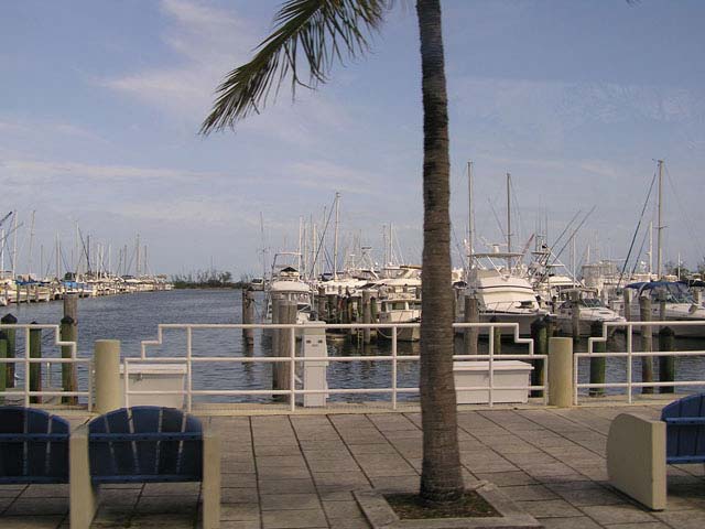 Coconut grove. Bayshore drive