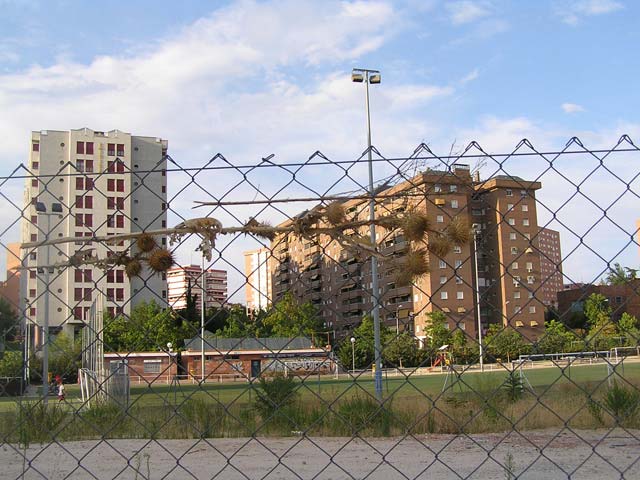Foto 32