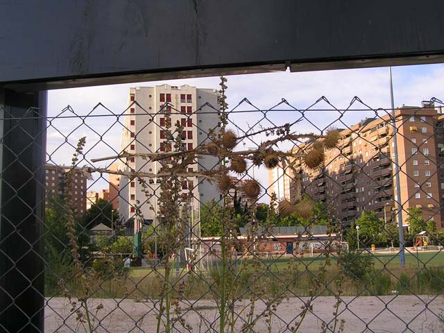 Foto 33