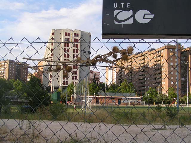 Foto 34