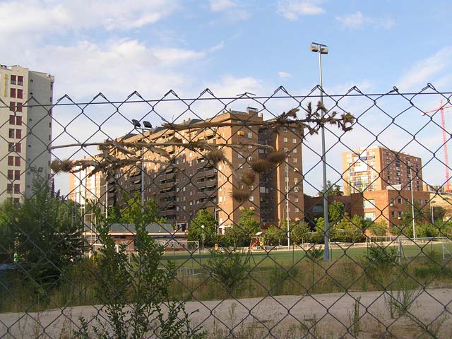Foto 36