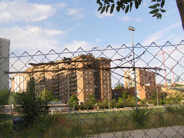Foto 37