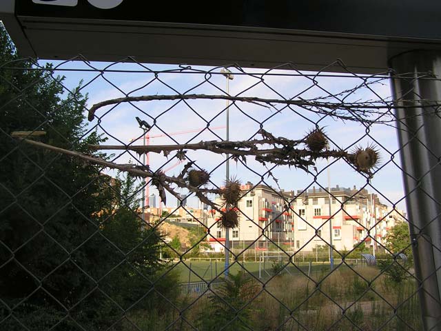 Foto 41